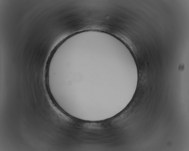 X0000089401135200707131734