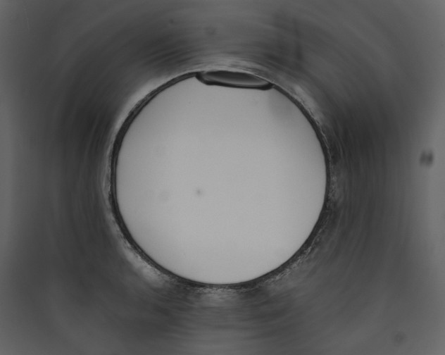 X0000089401136200707131734