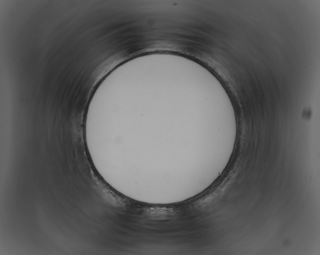 X0000089401137200707131734
