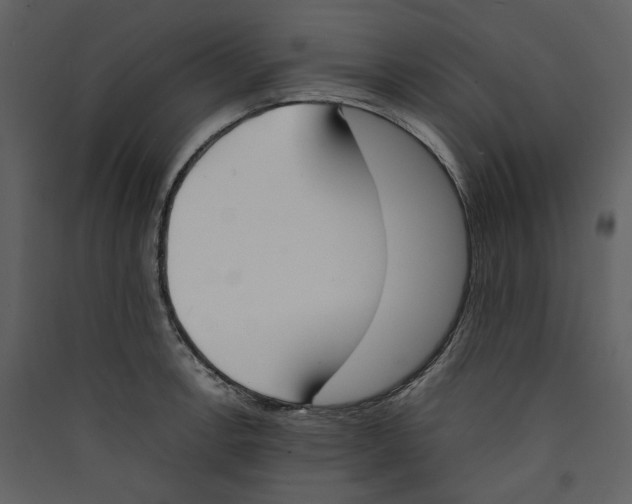 X0000089401138200707131734