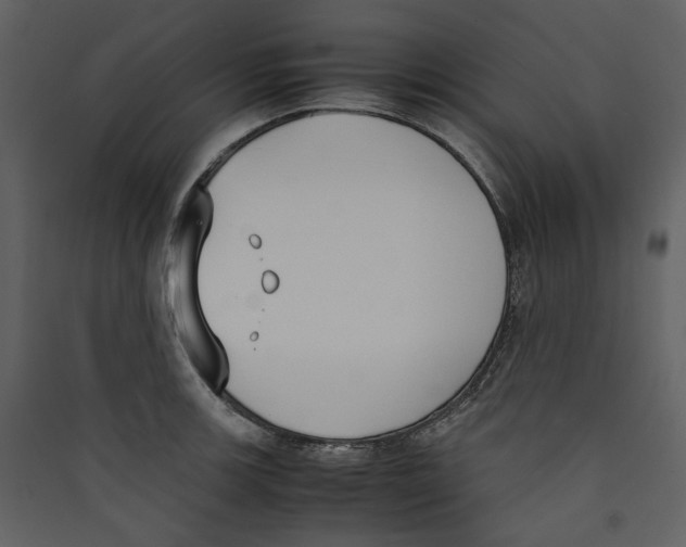 X0000089401139200707131734