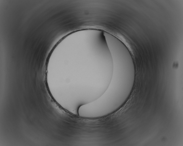 X0000089401140200707131734