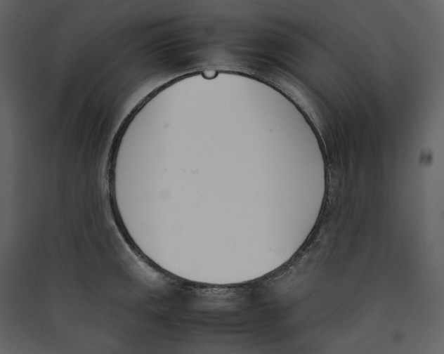X0000089401141200707131734