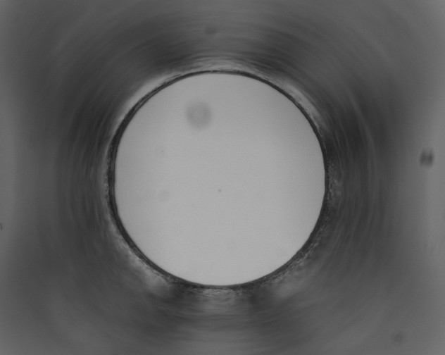 X0000089401142200707131734