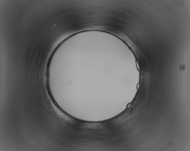 X0000089401143200707131735