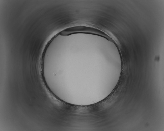 X0000089401144200707131735