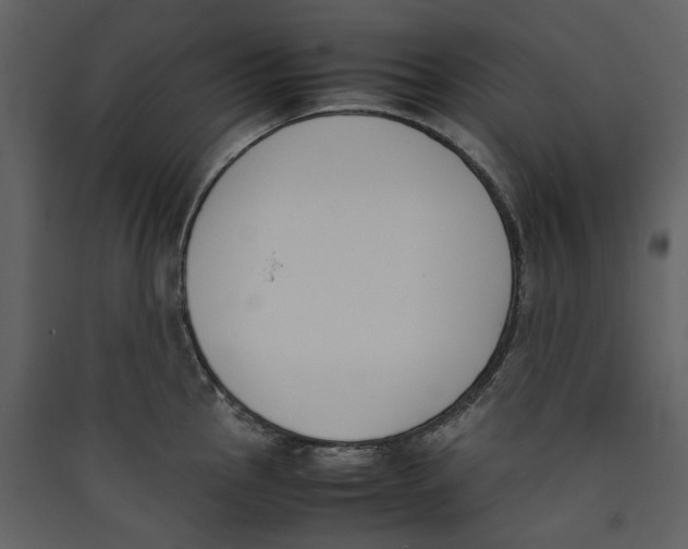 X0000089401145200707131735