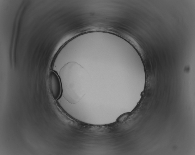 X0000089401146200707131735