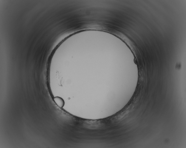 X0000089401147200707131735