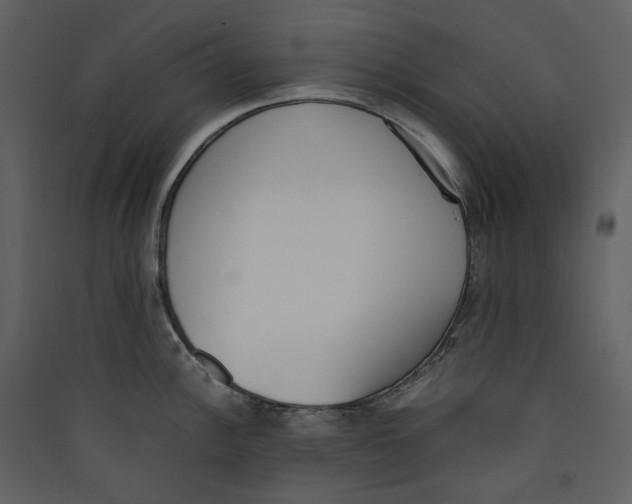 X0000089401148200707131735