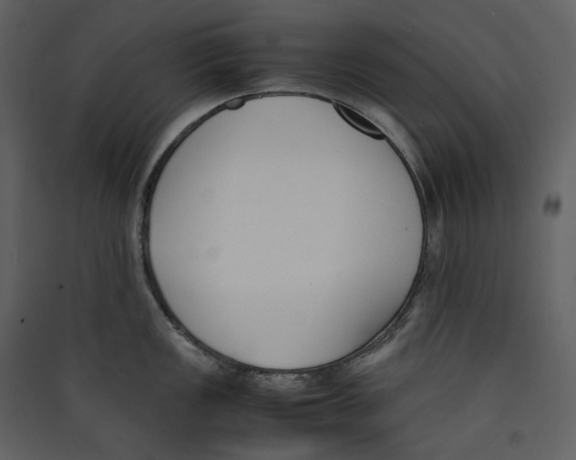 X0000089401149200707131735