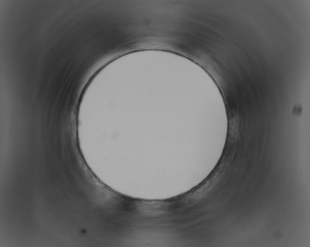 X0000089401150200707131735
