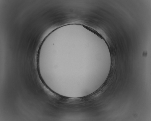 X0000089401151200707131735