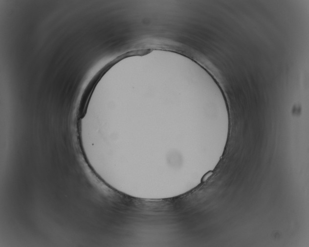 X0000089401152200707131735