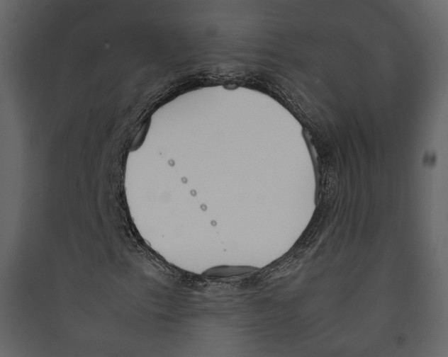 X0000089401153200707131734