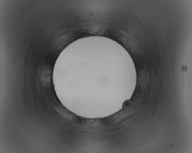 X0000089401154200707131734