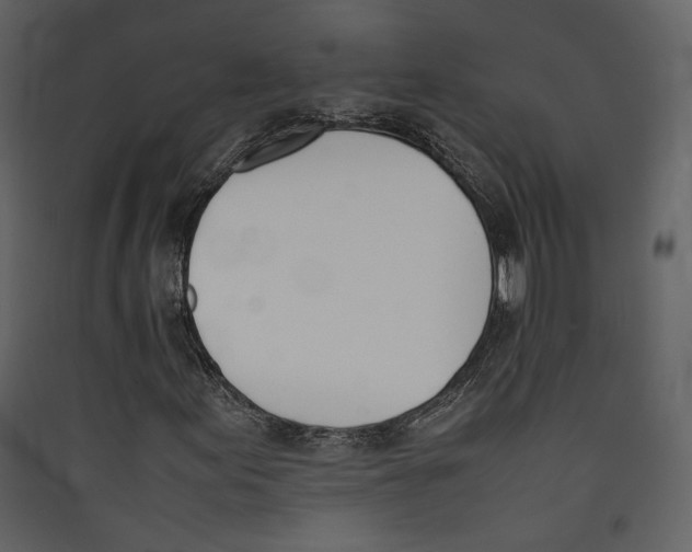 X0000089401155200707131734