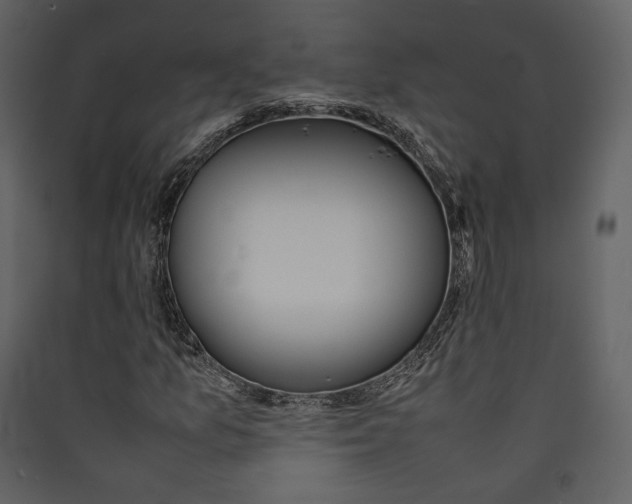 X0000089401157200707131734