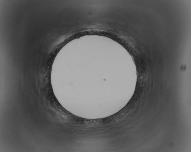 X0000089401159200707131734
