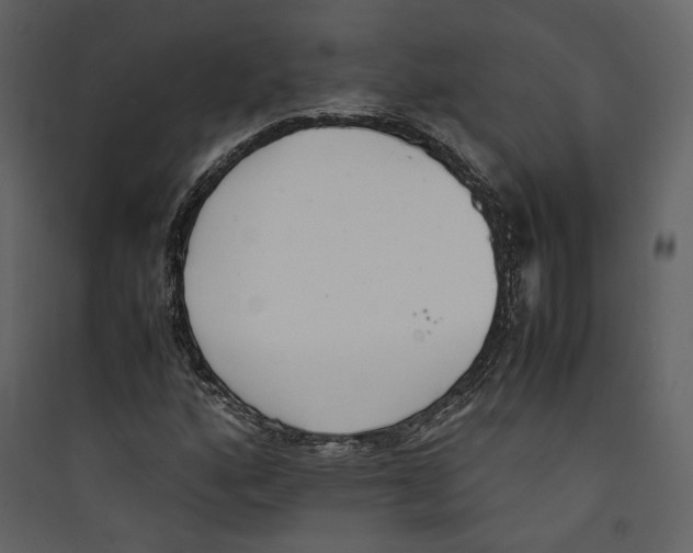 X0000089401160200707131734