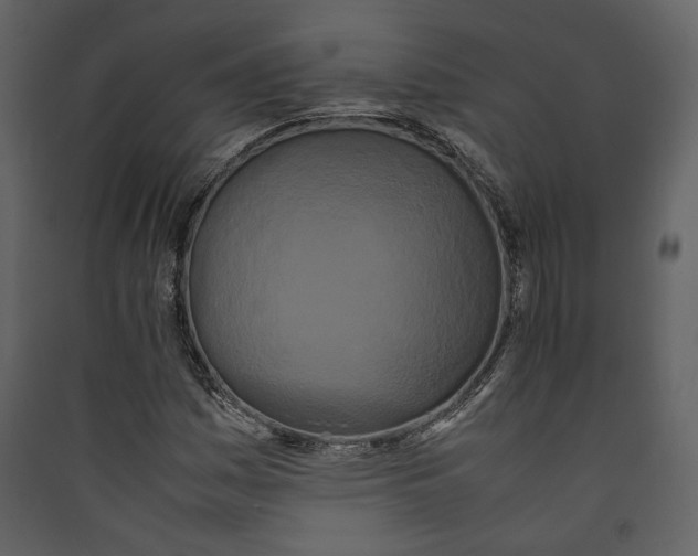 X0000089401161200707131734