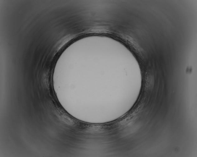 X0000089401162200707131734
