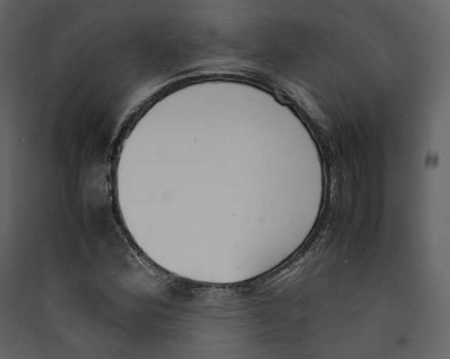 X0000089401164200707131734
