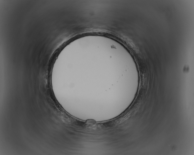 X0000089401165200707131734