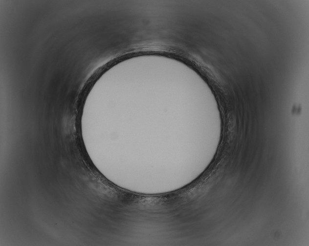 X0000089401166200707131734