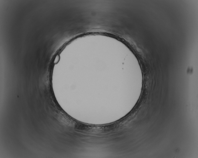 X0000089401167200707131734