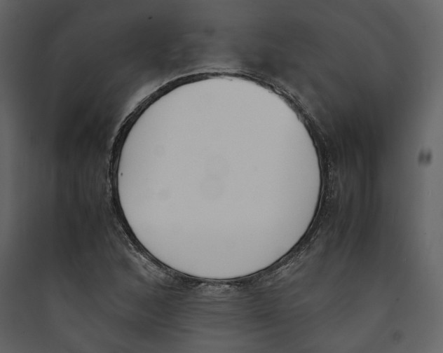 X0000089401168200707131734