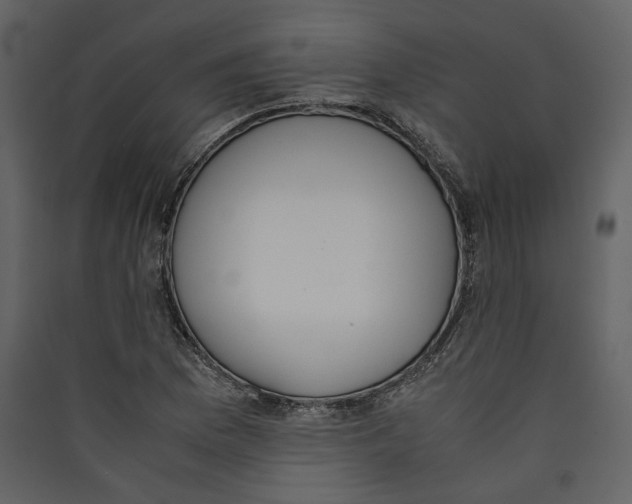 X0000089401169200707131734