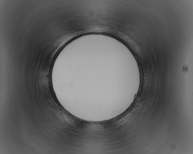 X0000089401170200707131734