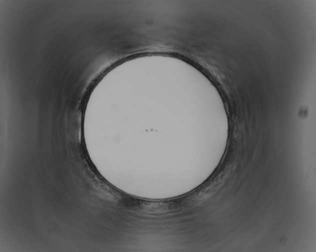 X0000089401171200707131734
