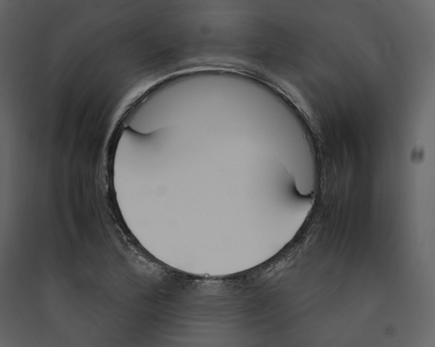 X0000089401172200707131734