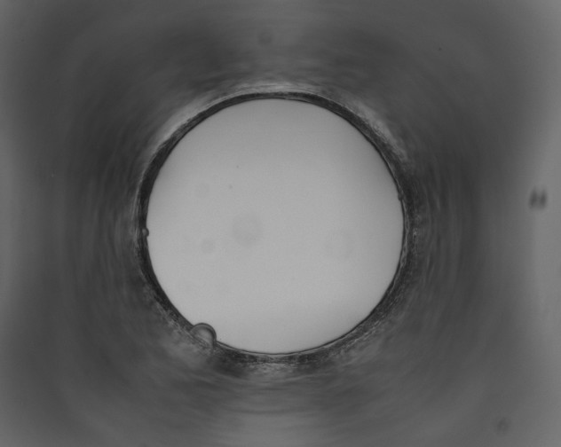 X0000089401173200707131734