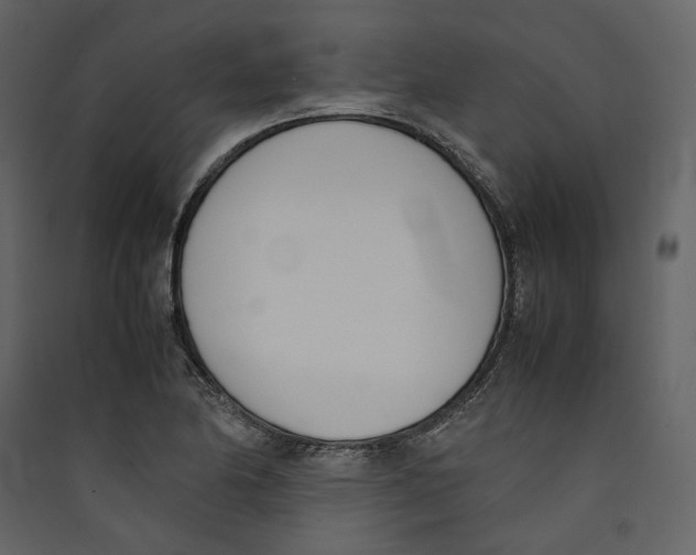 X0000089401174200707131734