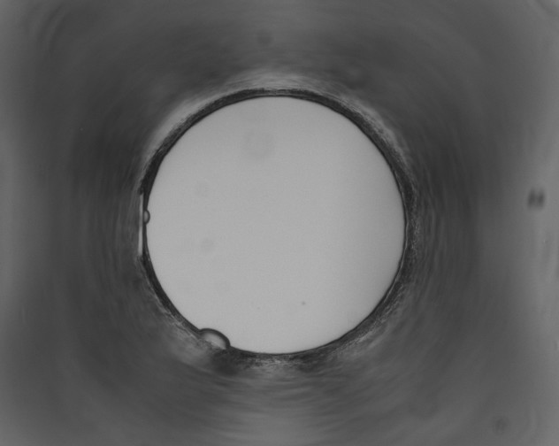 X0000089401175200707131734