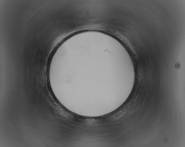 X0000089401176200707131734