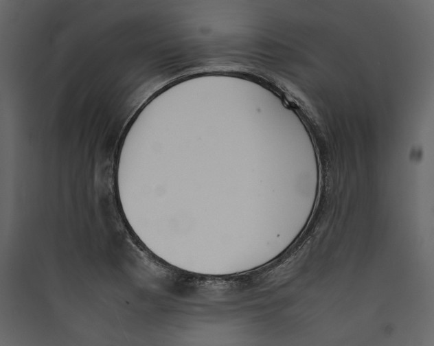 X0000089401177200707131734