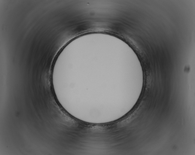 X0000089401178200707131734