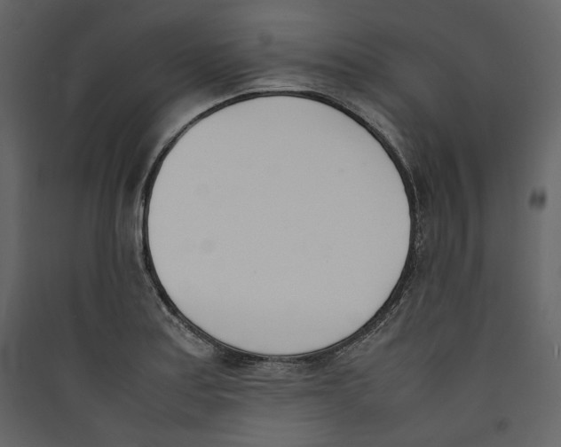 X0000089401179200707131734