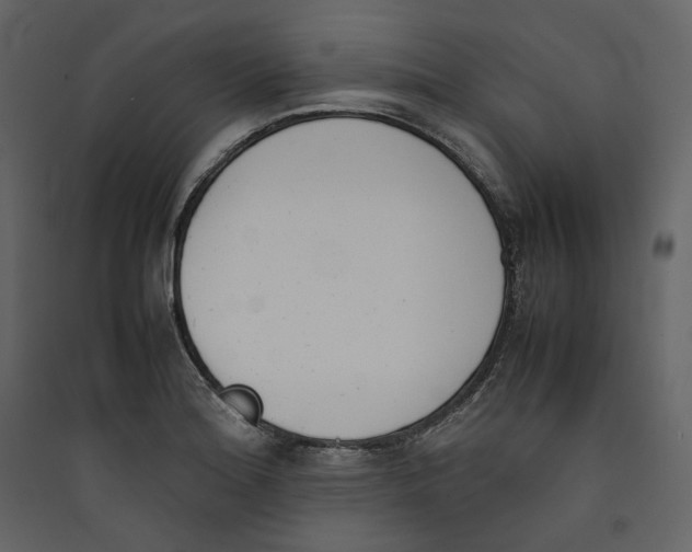 X0000089401180200707131734