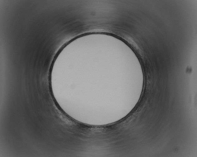 X0000089401181200707131733