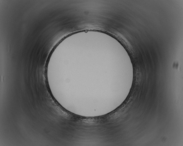 X0000089401182200707131733