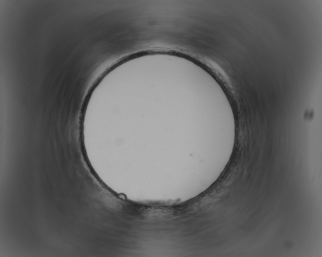 X0000089401183200707131733