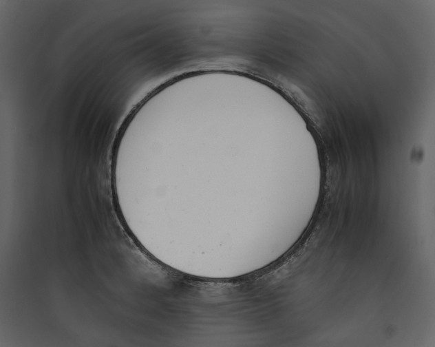 X0000089401184200707131733