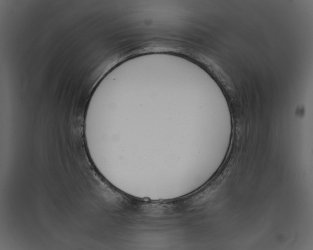 X0000089401185200707131733