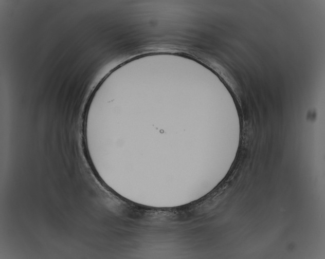 X0000089401187200707131733