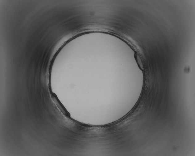 X0000089401188200707131733